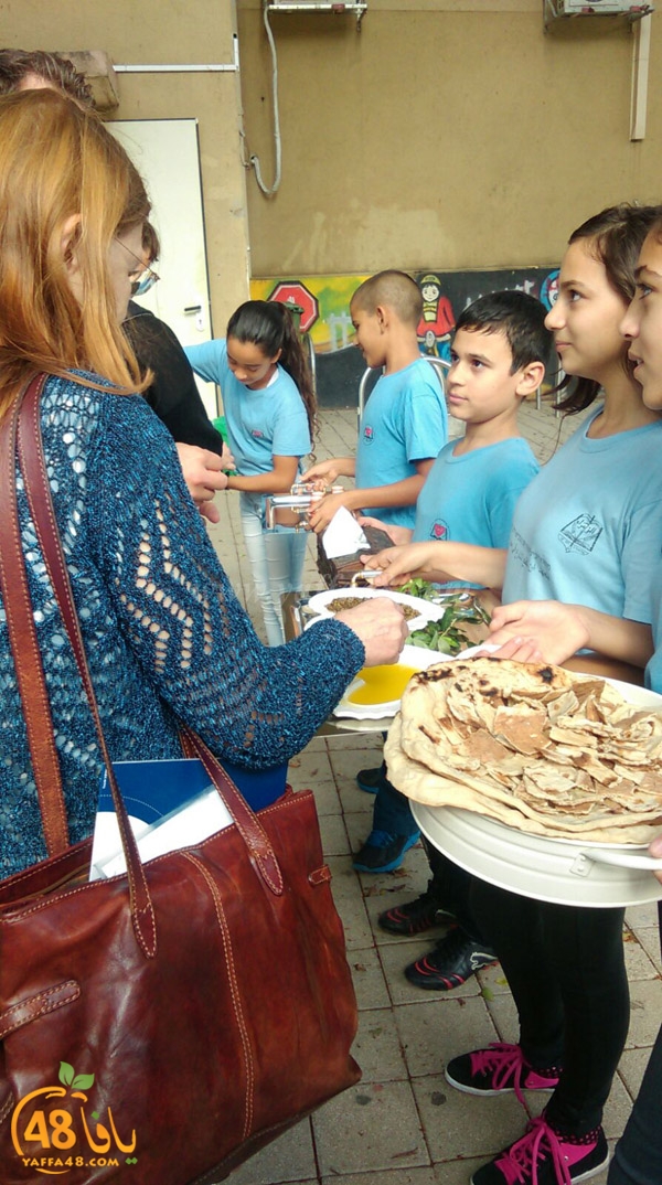 germany sacholl (16).JPG